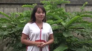 APRRN Honours: Nant July Moe