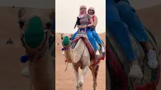 Camel ride #desertadventures #photography #dubai #saharadesert