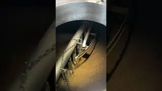 Spend a morning in the brewery with us 🍺 #craftbeer #brewery #beernerd