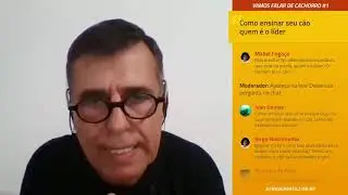 No adestramento positivo, quem é o líder?