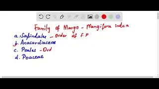 Which of the following represent the family of mango a Sapindales b Anacardiaceae c Poales d Poaceae