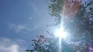 Check out the SUN