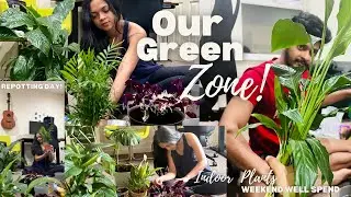 A Perfect Weekend reset with Our Indoor Plants | Repotting, Maintenance & New Additions from b&Q🌿