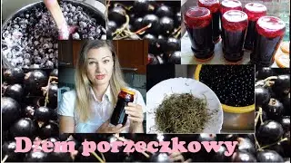 Jak zrobić dżem porzeczkowy