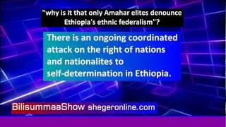 Why is it that only Amhara elites denounce Ethiopia's ethnic federalism?