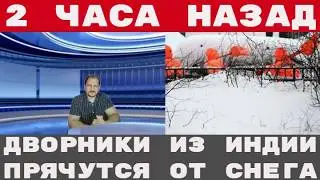 МИГРАНТЫ из ИНДИИ работать не хотят СНЕГ ИХ ПУГАЕТ они МЕРЗНУТ и ПРЯЧУТСЯ