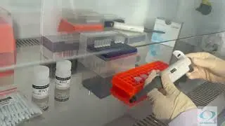 Khoa Thuong - DNA/RNA Extraction (Heat Treatment protocol)