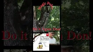 Do it Again Don! Out On a Limb Pulley System for hanging Bird Feeders