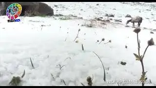 Saidgai Lake | Saidgai Danda | Saidgai Banda Jumat, Gabin Jabba | Short Documentary