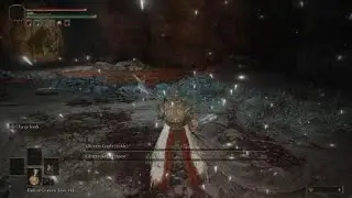 The Cleanrot Knight Duo