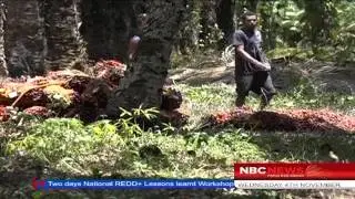 NBC PNG News - PM directs IPBC