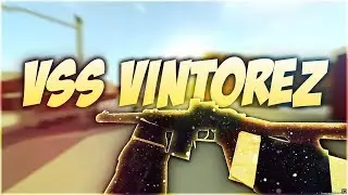 The VSS VINTOREZ in PHANTOM FORCES