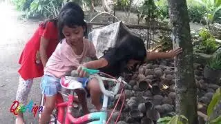 Qia Aiqa Syifa rides a bicycle at grandma's house