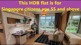 Singapore HDB 2-Room Flexi flats- build for the seniors