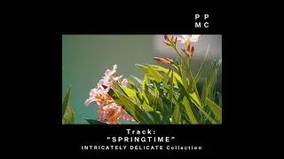 New INTRICATELY DELICATE Collection at Pleasant Pictures Music Club