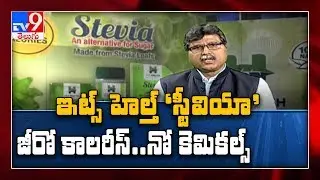 City Lights : Stevia Health benefits || Its Health - TV9