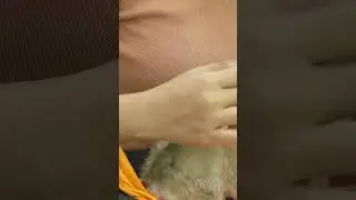 First time Leo start eating milk Part6
