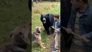Bear CHARGES Boy! 😱 (Close Call) #shorts #herodog #bearattack #dogvsbear #closecall #wildlife