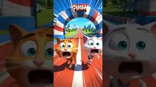 Two Funny Cats Racing 🏃&zwj;♂️😹 | Big Crash Moment