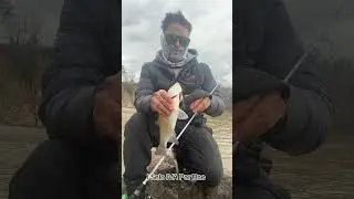 Solo uno quer&iacute;a