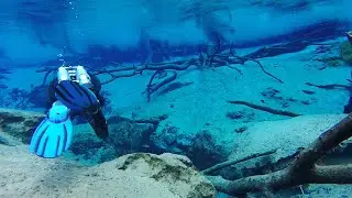 Diving Cypress Springs Florida - December 2024