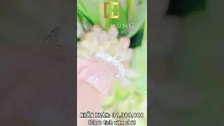 C&oacute; những vẻ đẹp chỉ cần một chiếc nhẫn nữ kim cương l&agrave; đủ #nhannu #diamond #jewelry #kimcương