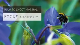 How to get tack SHARP & CRISP photos! The ULTIMATE FOCUS Guide