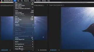 How to install and use our +500 Transitions for Premiere Pro Vamify