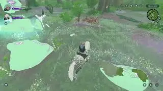 Star Stable - Finding the bugged rune stone glyph in Mossroot Grove
