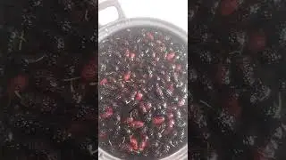 What type of vitamin Mulberry fruit had/ local soh  Blied in Meghalaya 