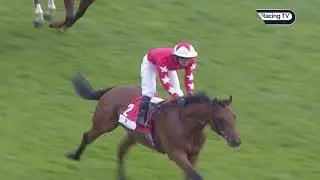 Rock Of Gibraltar is all class in the Gimcrack for Aidan O'Brien and Mick Kinane (2001) | Racing TV