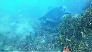 Te Umukurī Wellers 7 4 2018