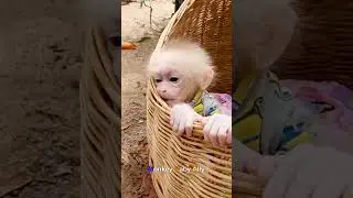 Baby Ally Very Sad #shorts