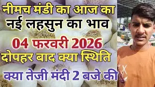 नीमच मंडी आज का नई लहसुन का भाव / Neemuch mandi bhav today / Neemuch mandi lahsun bhav