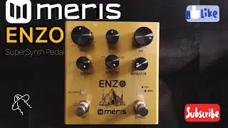 Meris Enzo Tutorial & Review