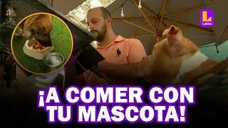 Restaurantes Pet Friendly en Lima: visita estos locales acompañado de tu mascota