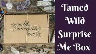 Unboxings/Reviews: Tamed Wild Surprise Me Box Unboxing