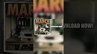 March Bundle Sample Pack Vintage | 495 Samples | Boombap, Gritty & Jazz Samples