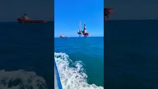 Offshore Life in the Gulf of Mexico