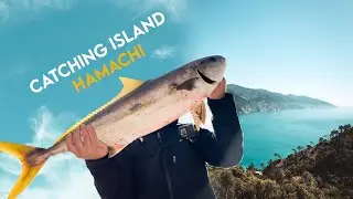 The TRUTH to fishing island yellowtail how to have better odds...