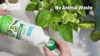 Explore Back to the Roots Organic, Indoor Plant Food &mdash; grow stronger roots & bigger plants!