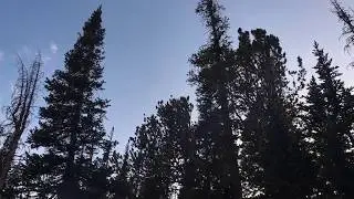 Absaroka-Beartooth Wilderness