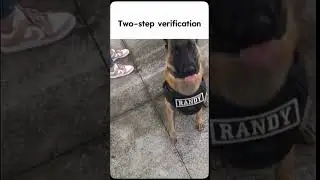 #police #dog #funny #meme #viralshorts #fyp #viralvideo #twostepverification