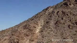 BIGDOG 