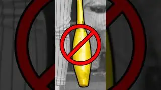 should these bats be BANNED?