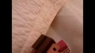 My Minecraft Endertoy