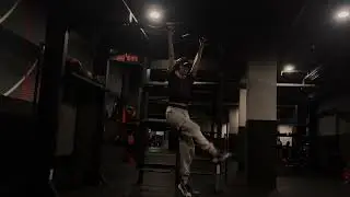 Hanging Alternating Legraises - Exercise Library