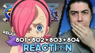 Sanji's PAST! - One Piece | Episodes 801 - 804 Reaction
