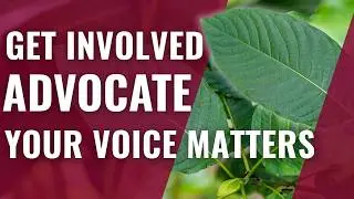 Want to do more to keep kratom legal? Watch this video