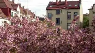 Torshov bakg&aring;rd [HD] Oslo,Bydel Sagene
